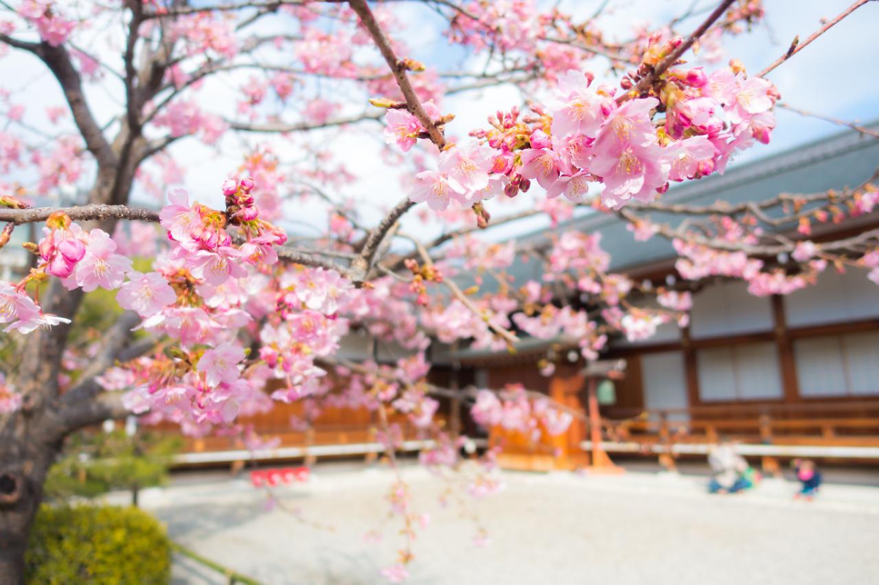 Stay Sakura Kyoto Shijo Karasuma Extérieur photo