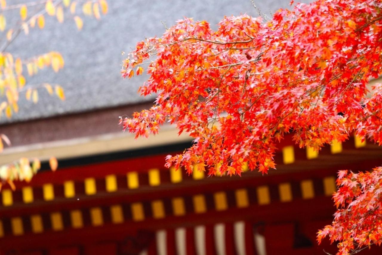Stay Sakura Kyoto Shijo Karasuma Extérieur photo